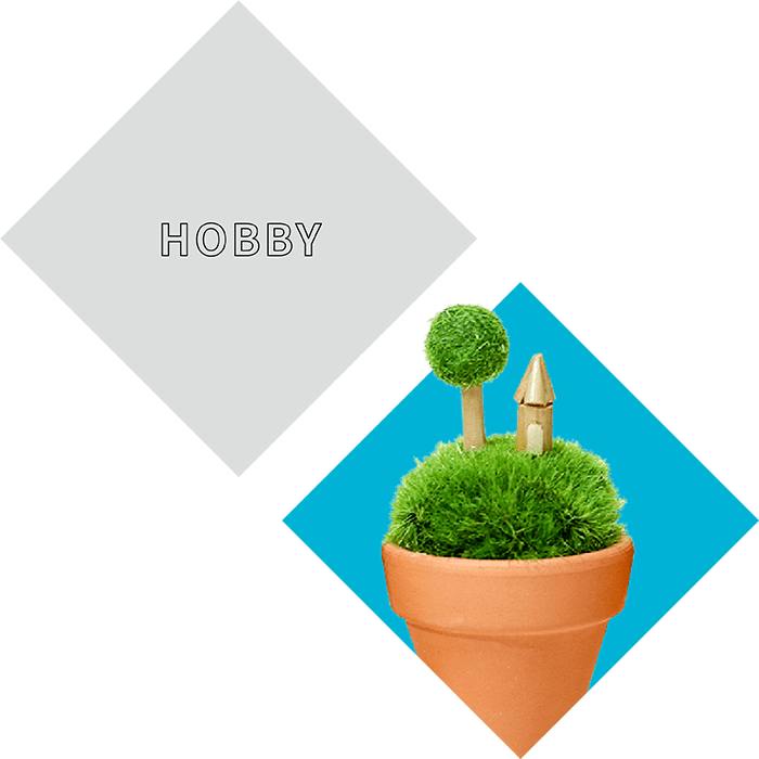 hobby